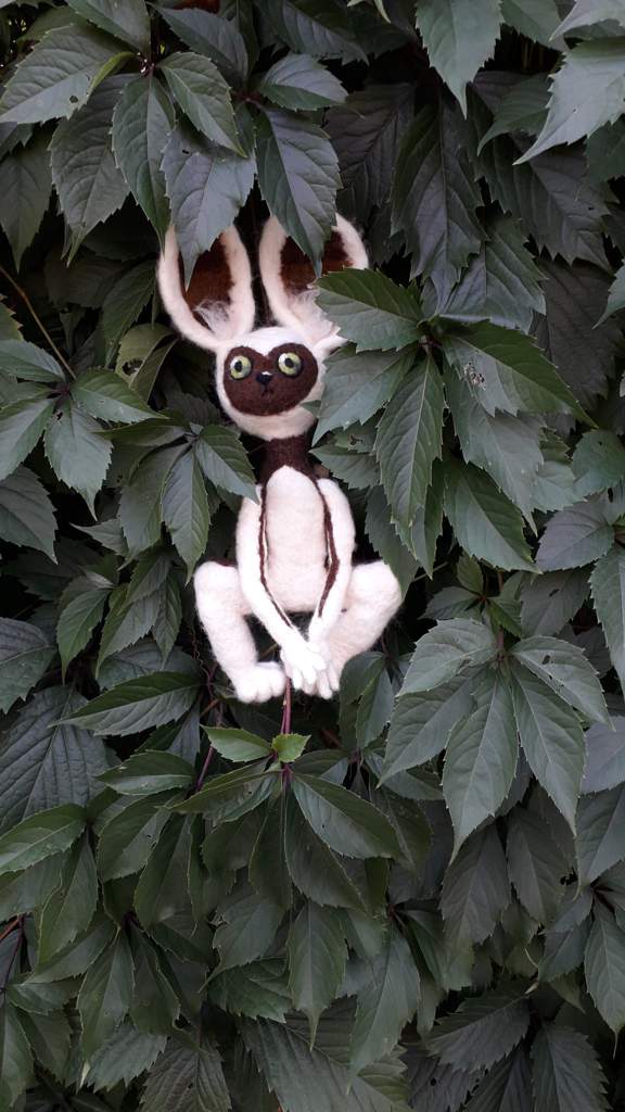 my plush toy