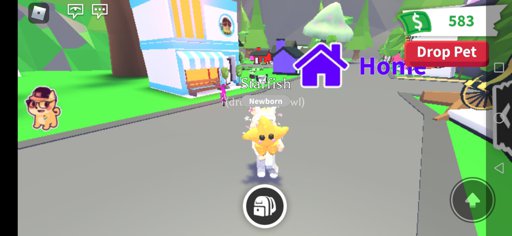 Latest Roblox Adopt Me Amino