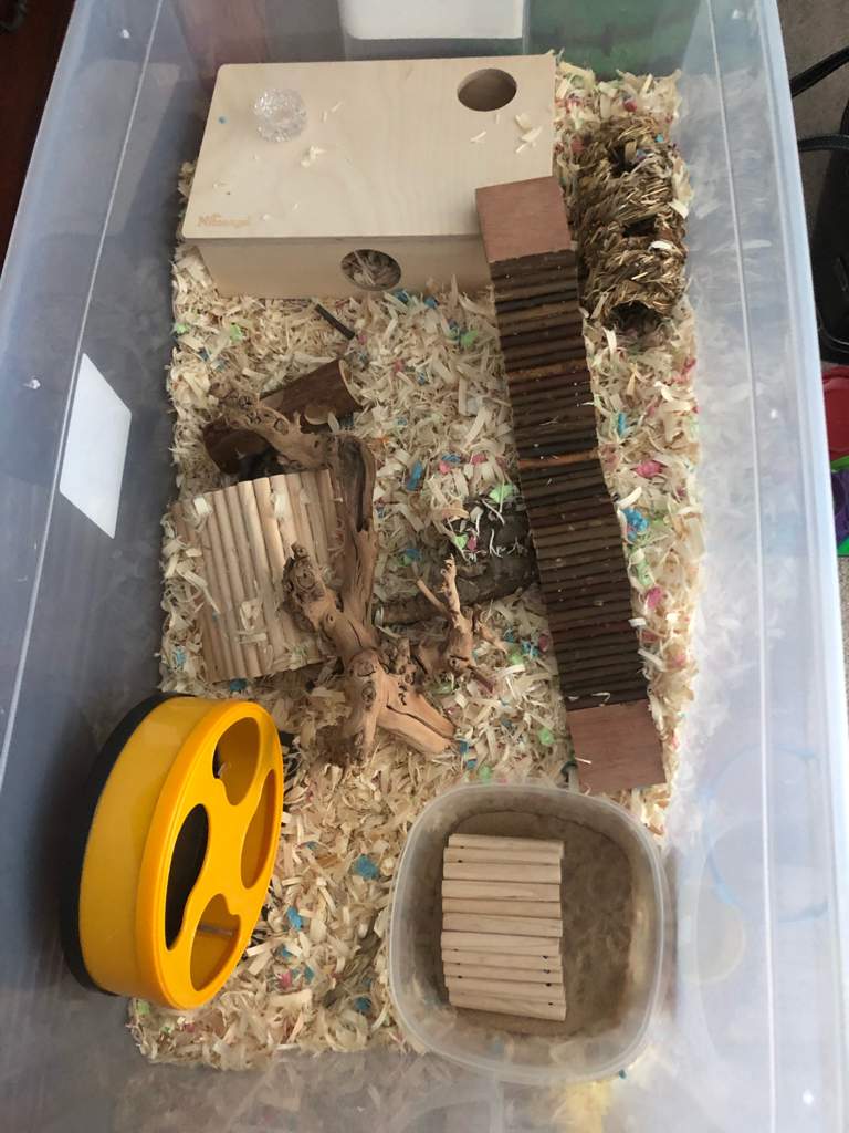 Tank Setups Hamsters! Amino