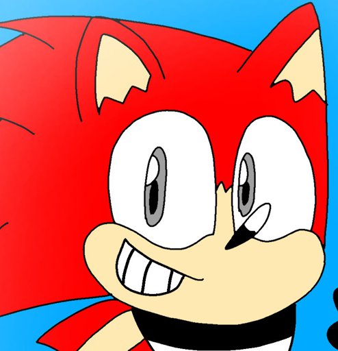 Modern Cory The Hedgehog | Wiki | Sonic The Hedgehog VC1.0 Amino