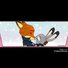 amino-zootopia Follower (Judy X Nick)...-c24b8c8f