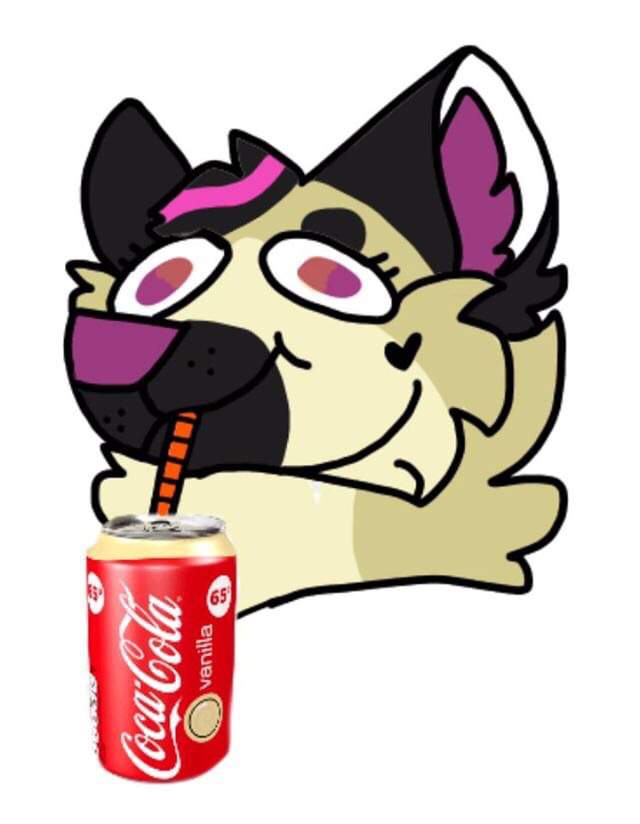 🖤Kira the hyena 🖤 | Furry Amino