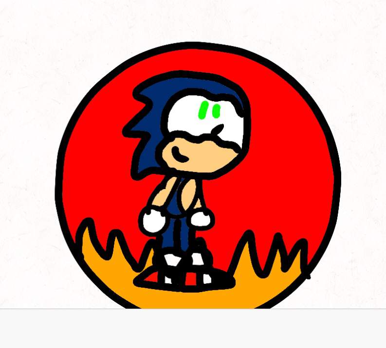 Sonic Elemental Shields