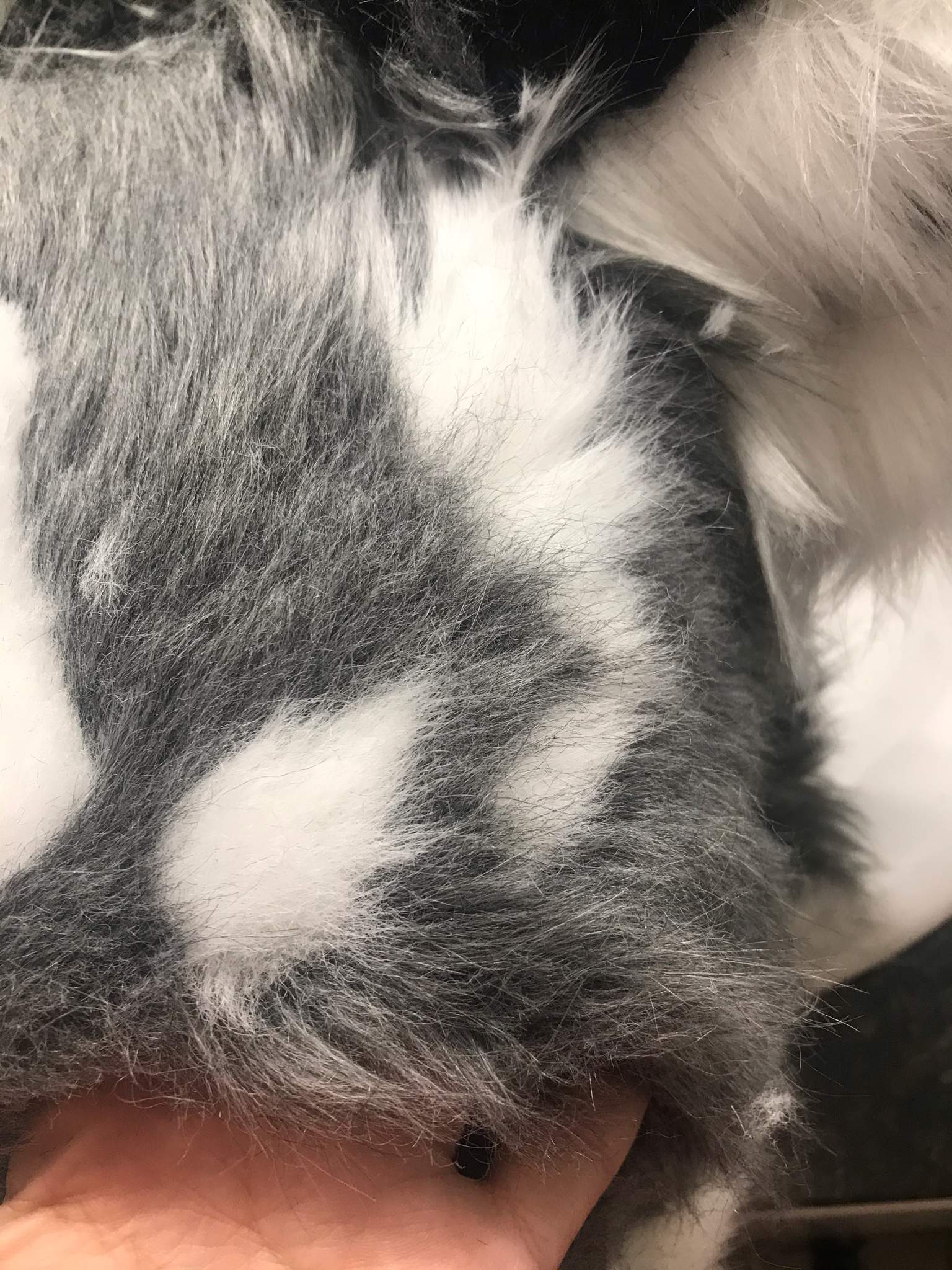 How to clean up your fursuit markings | Furry Amino