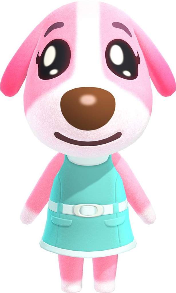 Cookie! ♡ | Animal Crossing New Horizons Amino