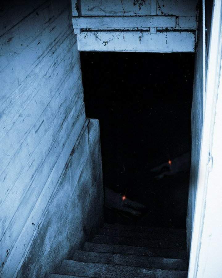 The Monsters In Your Basement Edit | Trevor Henderson Club. Amino