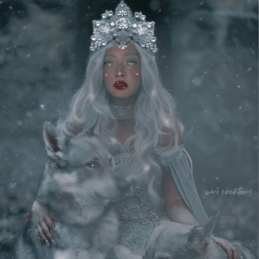 Queen of Wolves ... ♡ | BLINK (블링크) Amino