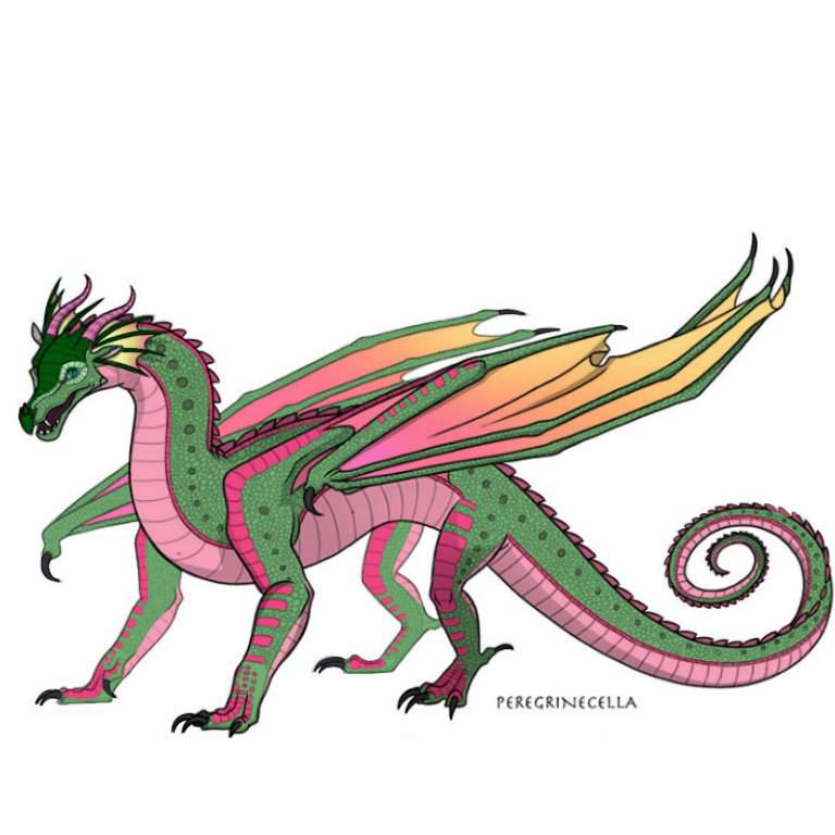 RainWing Ocs | Wiki | Wings Of Fire WOF Amino