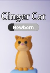 Latest Roblox Adopt Me Amino - roblox adopt me mega neon ginger cat
