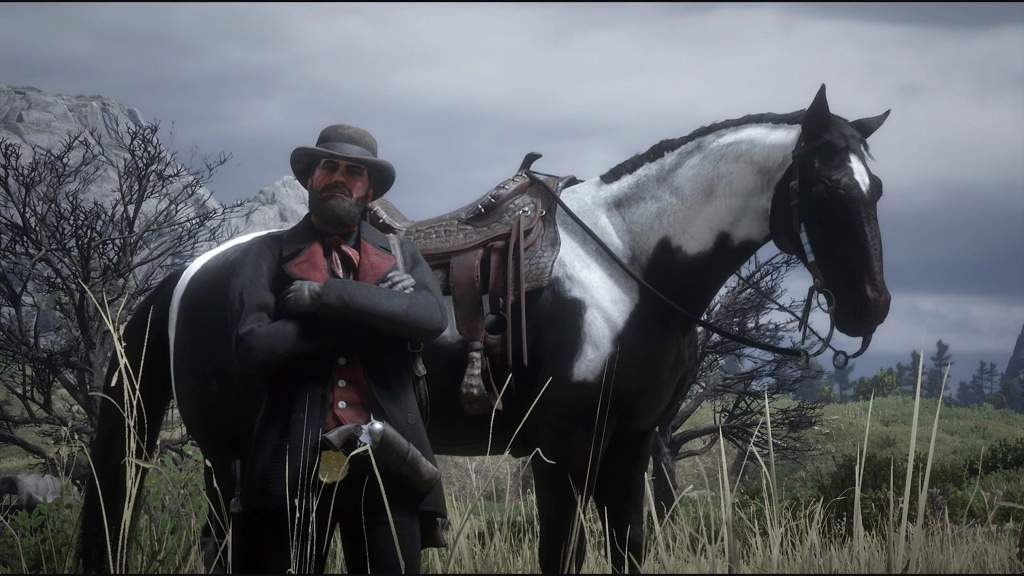 RDR2 Horses | The Hungarian Halfbred | The Red Dead Redemption Amino