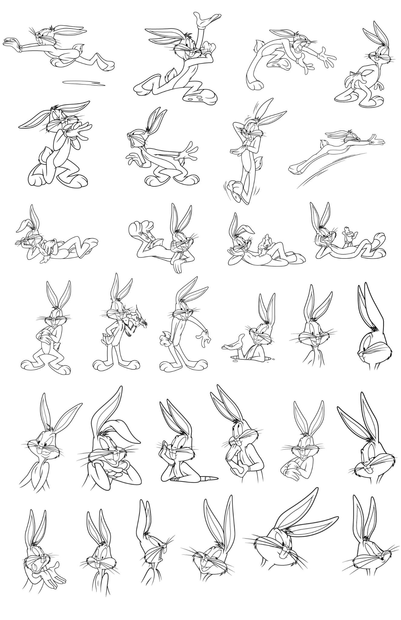 Looney Tunes Model Sheets!!! | Looney Tunes Amino
