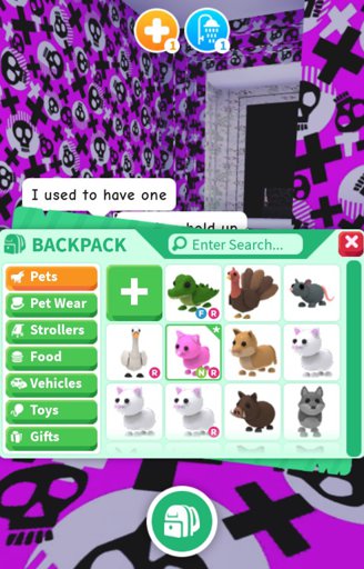Latest Roblox Adopt Me Amino - roblox adopt me pets vehicles and strollers new aussie egg pets
