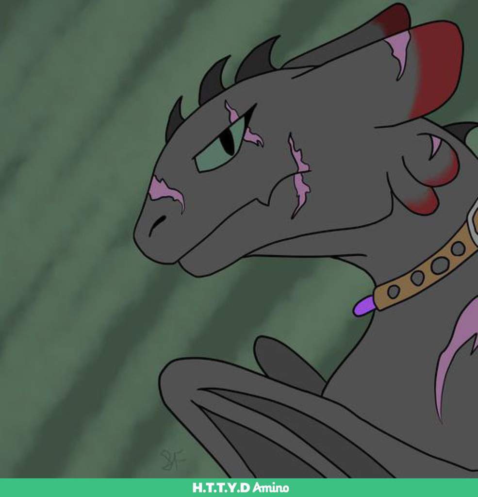 Ebony | Wiki | Dragons! Amino