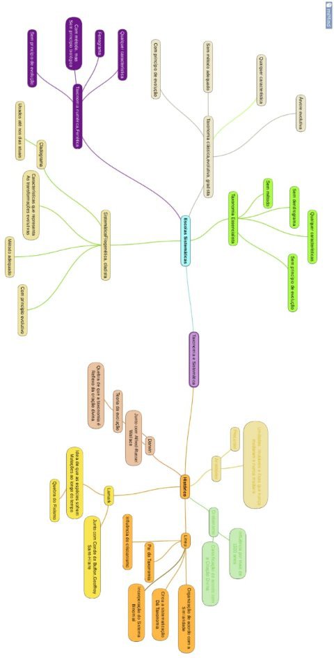 Mapa mental Taxonomia | Saber School Amino