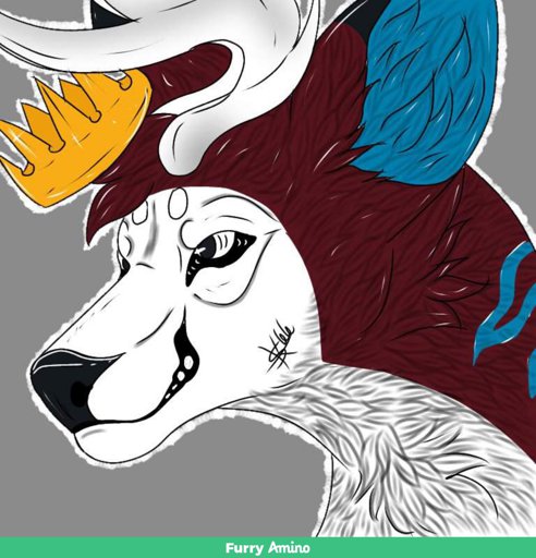 King | Wiki | Furry Amino