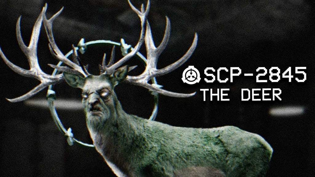 Şmıłə😈 Scp‐023 Scp Foundation Amino