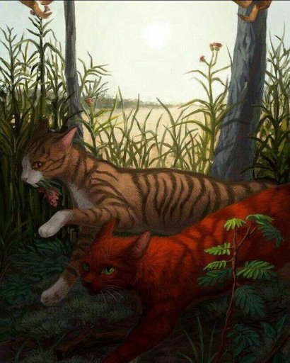 Сумерки коты воители