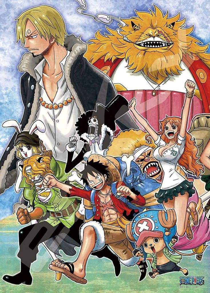 Ranking the One Piece Arcs (Zou) | One Piece Amino
