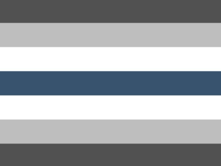 Drapeau alternative Greygender 