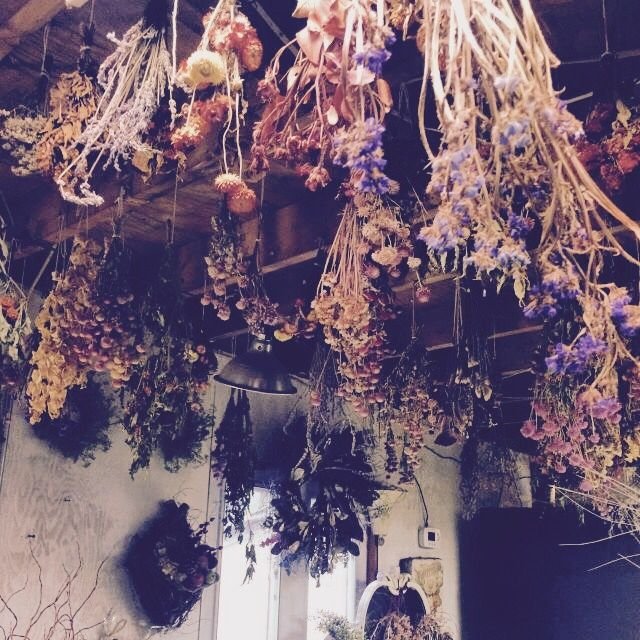 Parsley Botch ♧ Smile For Me ) Amino