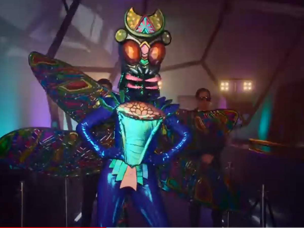 Dragonfly | Wiki | Masked Singer Amino Amino