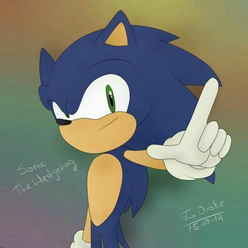 Sonic The Hedgehog Leader Of Team Sonic Single Sonic The Hedgehog Amino - becoming sonic the hedgehog in roblox youtube