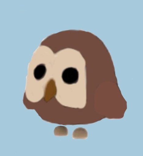 Featured image of post Owl In Adopt Me Roblox
