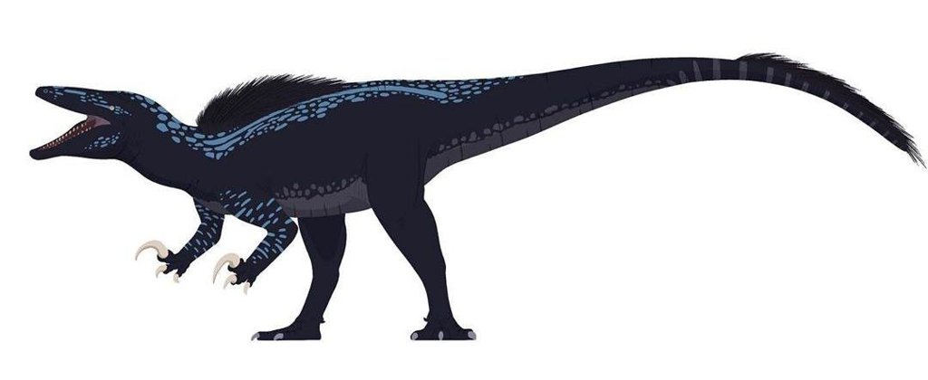 Orkoraptor burkei | Wiki | Amino Paleontología Amino