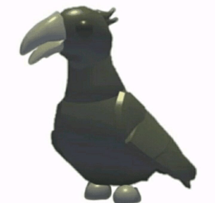 Crow Worth | Roblox Amino