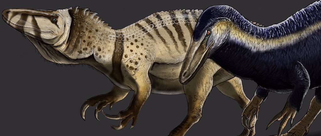 Orkoraptor burkei | Wiki | Amino Paleontología Amino