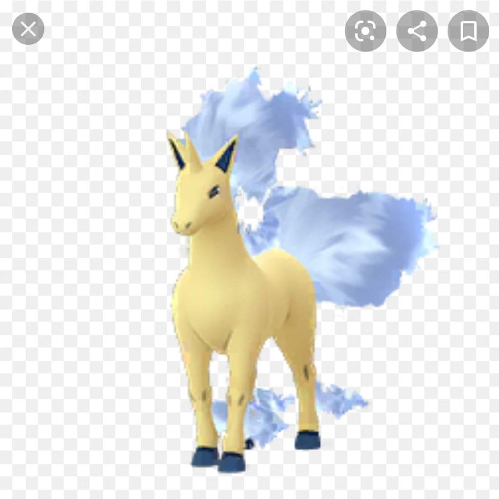 Should I evolve my shiny ponyta? | Pokemon GO Amino