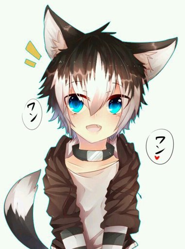 Title Cute Neko Anime Cat Boy Wolf Boy Anime Anime Chibi Naruto Amino