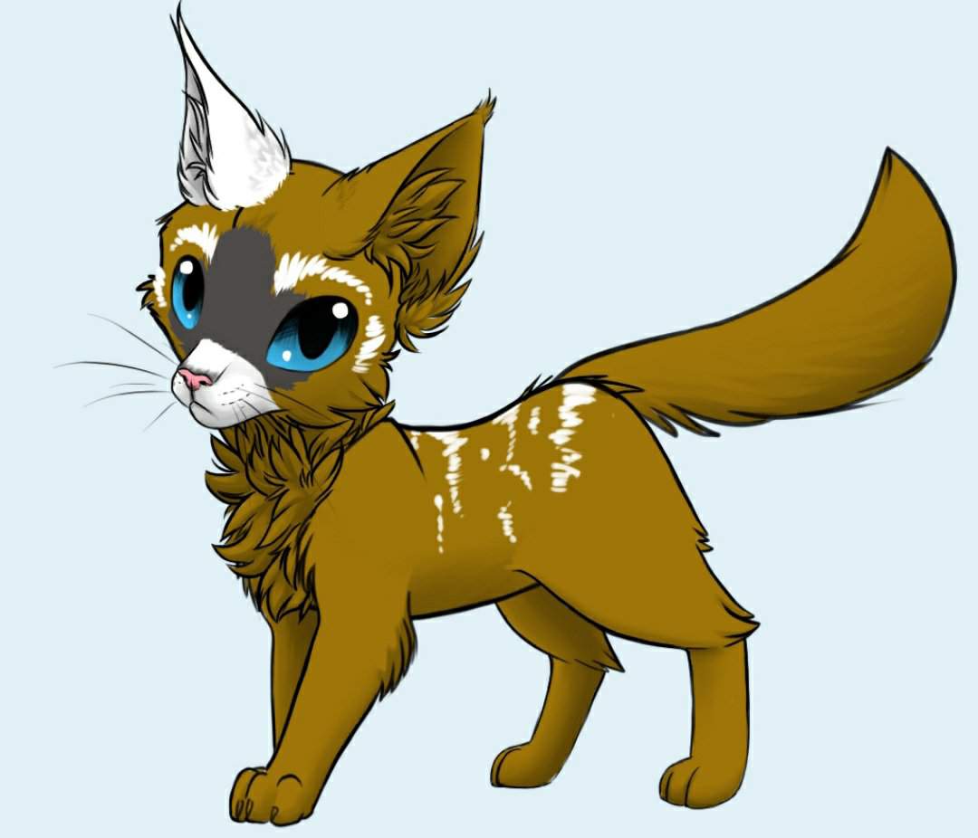 Cedarpaw | Wiki | Warriors Amino