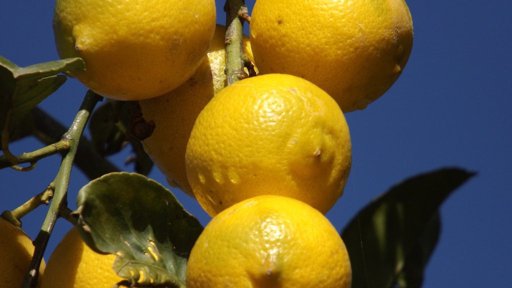Latest Roblox Myths Amino - roblox myth lemons