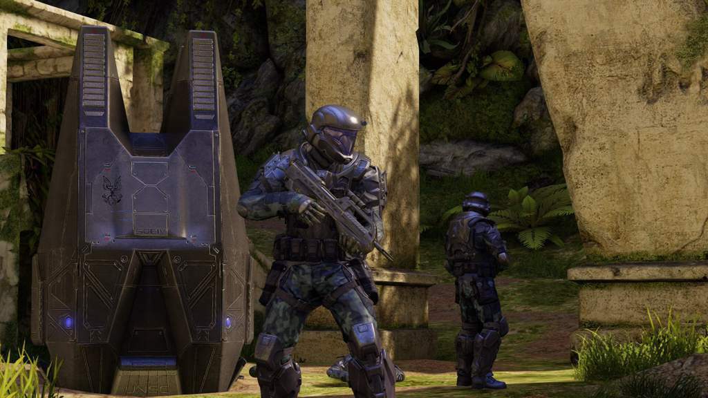 Mac and a fellow ODST dropped into designated LZ before taking out the HVT.