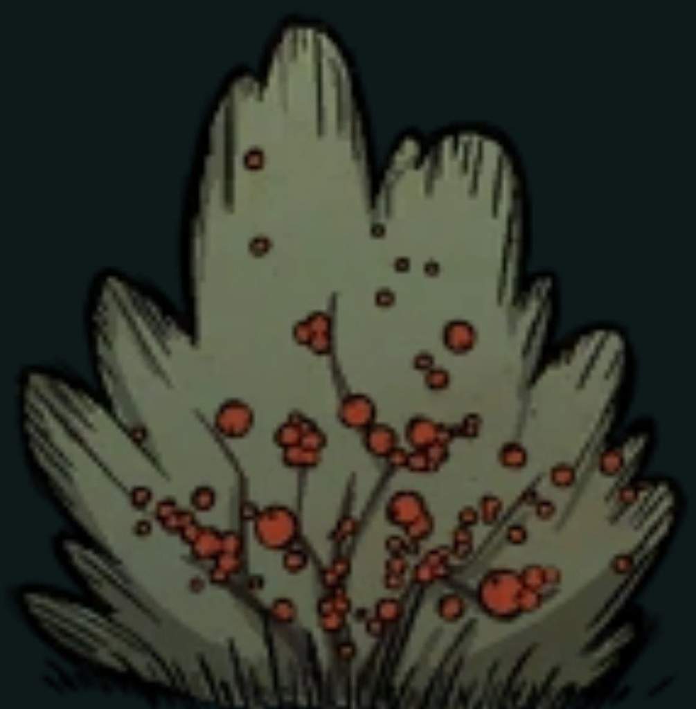 Berry Bush Wiki Don't Starve! Amino