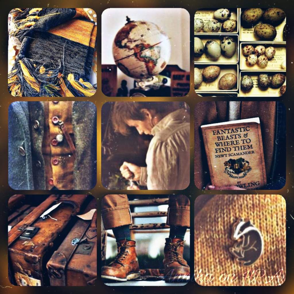 Moodboards | Fantastic Beasts | Harry Potter Amino