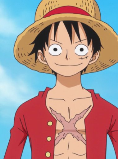 Who Is Your Favorite Straw Hat One Piece Amino