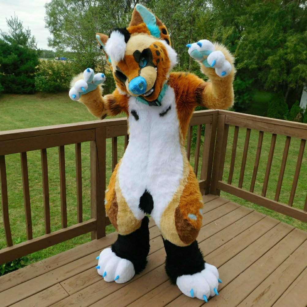 Walk in the Bark | Wiki | Fursuit Maker Amino Amino