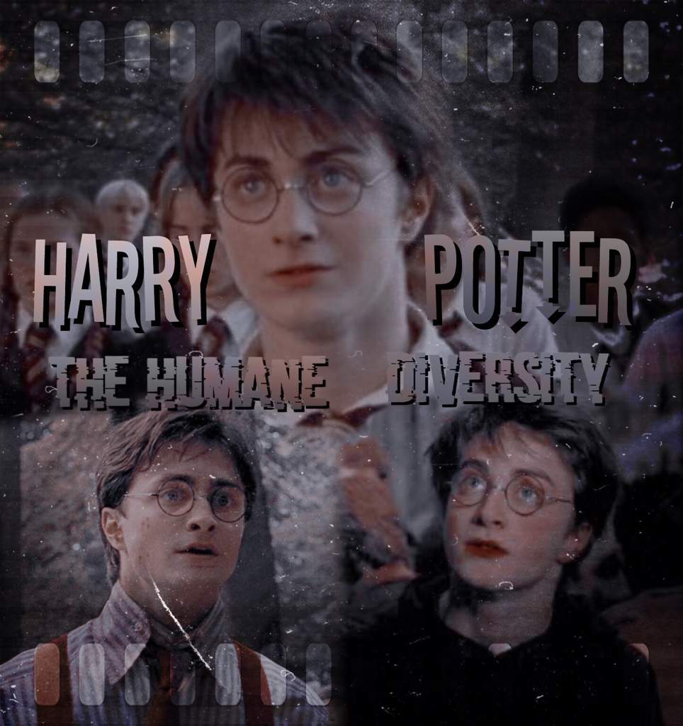 The Humane Diversity: #hsdebate | Harry Potter Amino