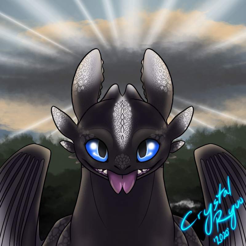 Nova The Artist | Dragons! Amino