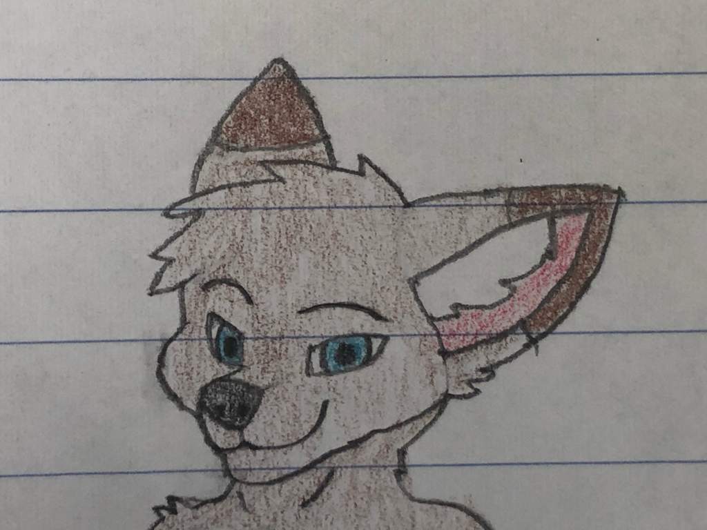 Fennec Fox OC | Wiki | Furry Amino