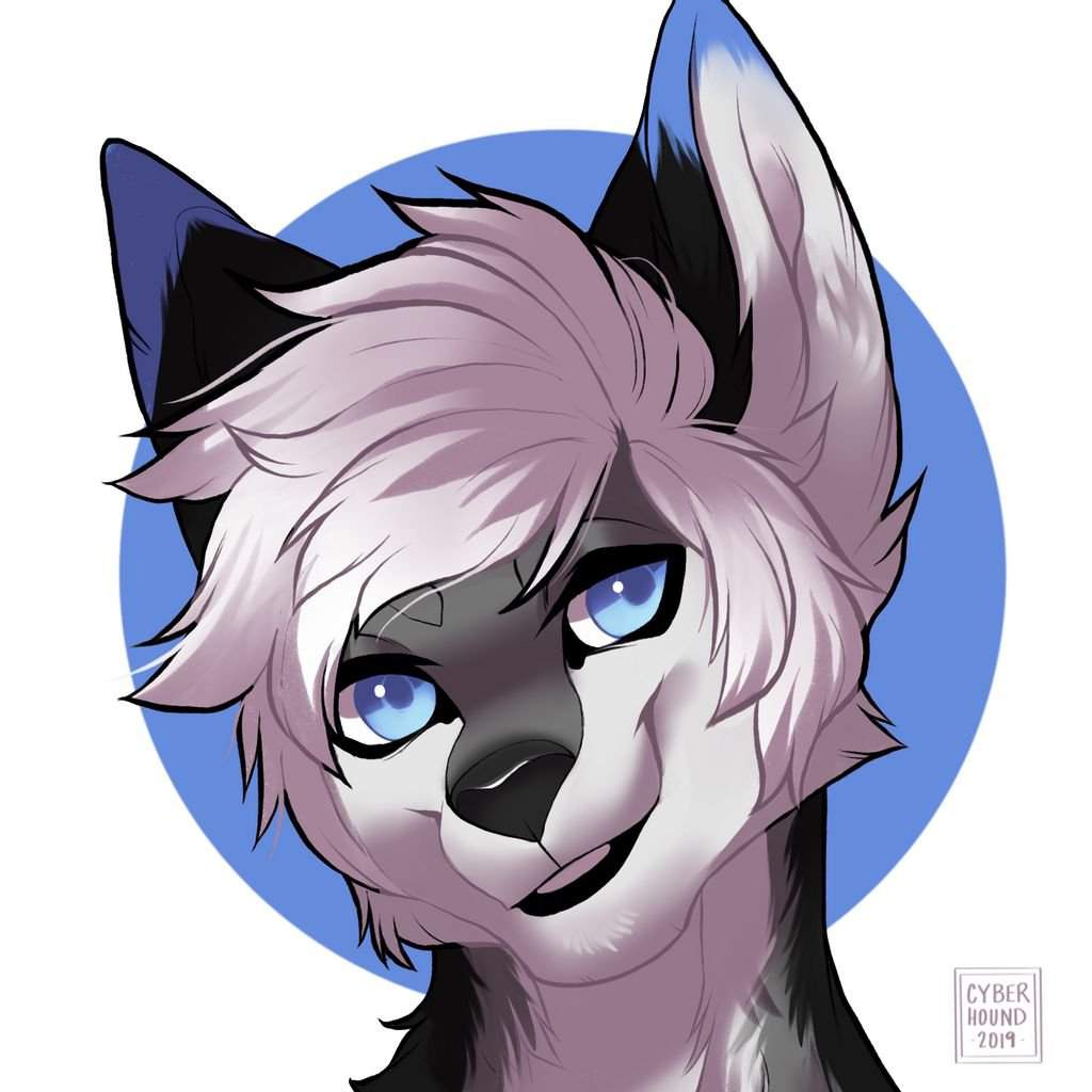 Harvey | Furry Art Amino