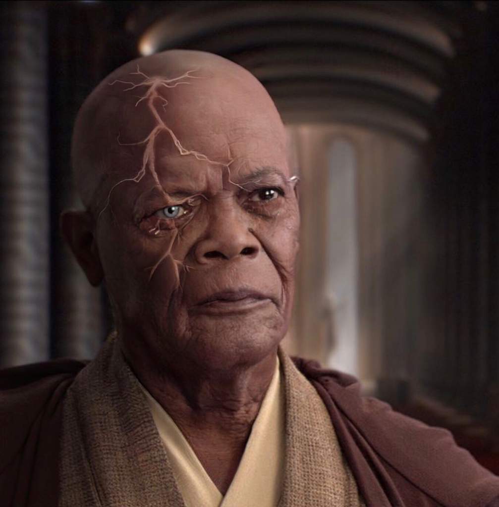 Old Mace Windu | atelier-yuwa.ciao.jp