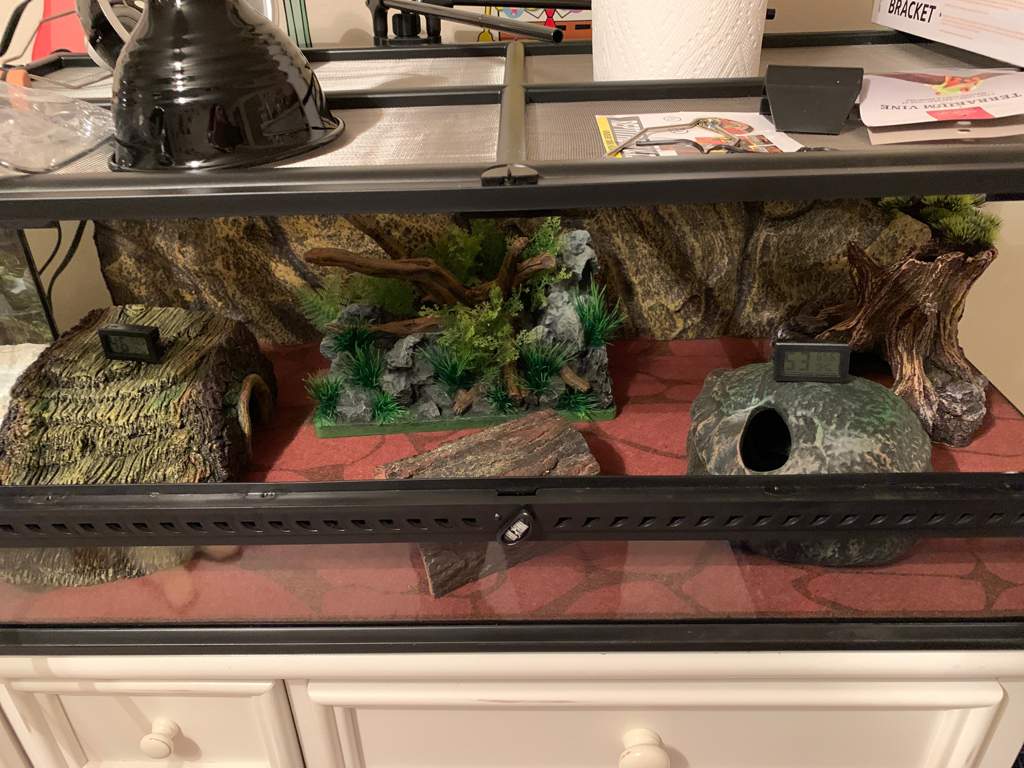 Leopard Gecko Terrarium Substrate And Heating | Reptiles Amino