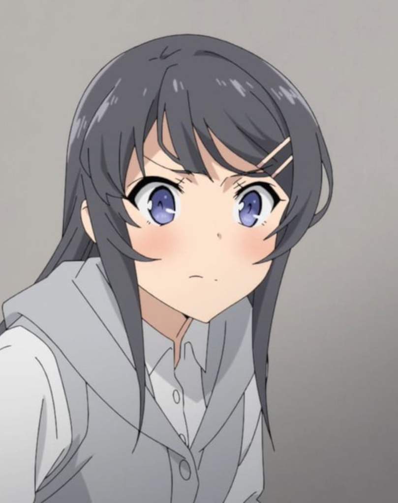 Mai Sakurajima | Anime Rascal Does Not Dream of Bunny Girl Senpai ...