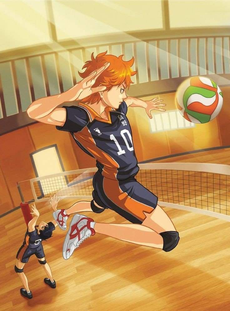 Haikyuu season 1 | Wiki | Anime Amino