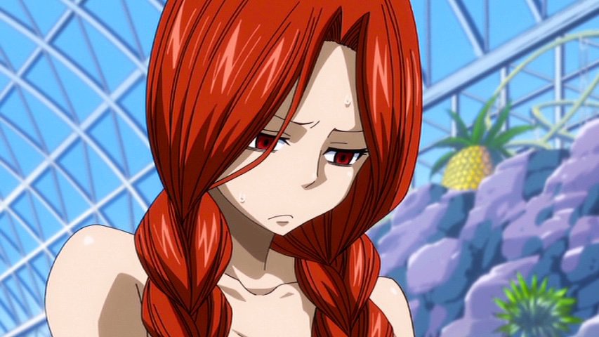 Fairytail 30 Day Challenge (Day 14: Favorite Minor Character) .
