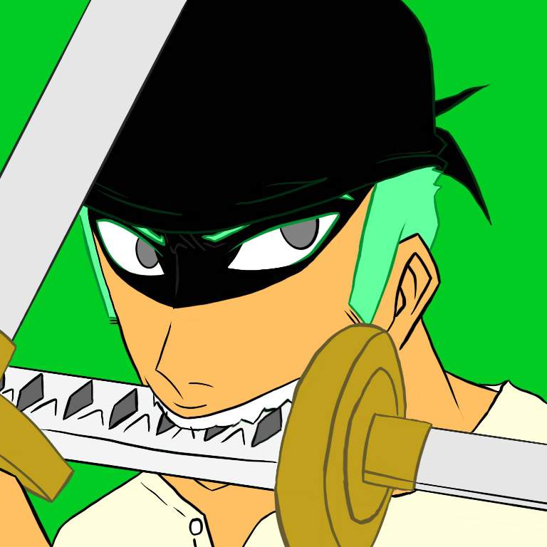 Pirate Hunter Zoro | One Piece Amino