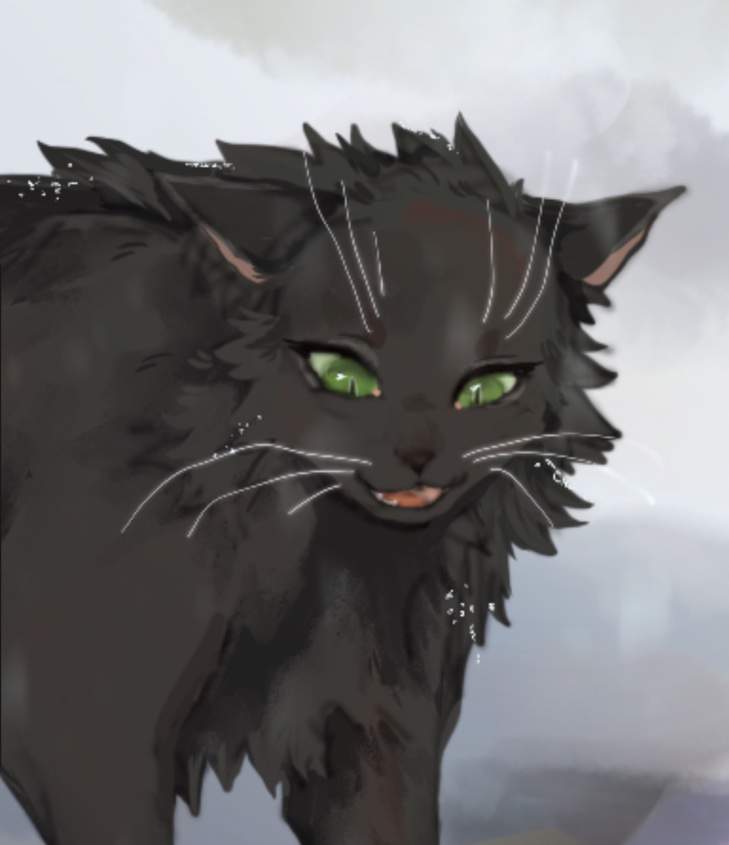 hollyleaf & hazeltail | Warriors Amino